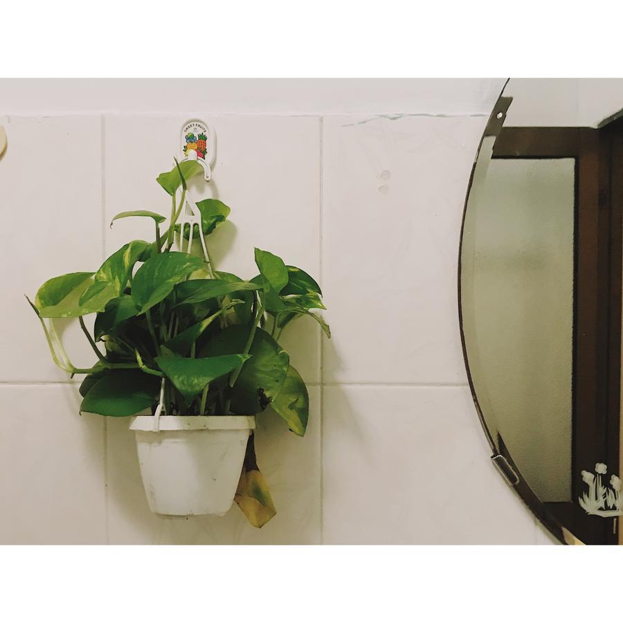 Condodo Hostel Хошимин Экстерьер фото